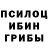 Псилоцибиновые грибы Psilocybe b.reilly,Nobody's Intro