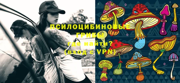 эйфоретик Арсеньев