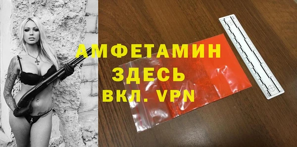 эйфоретик Арсеньев