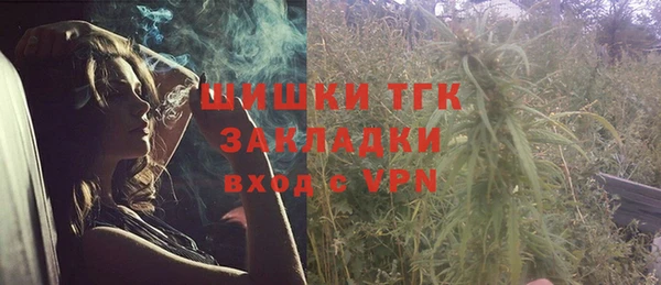 эйфоретик Арсеньев